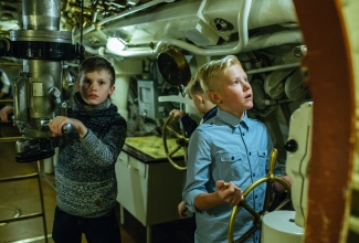 AI võimaluste kasutamine valitsusportaali halduses